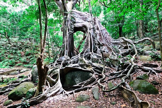 Ba Na Hill/Golden Bridge/Dragon Bridge Customize Tour by Private - Who Will Enjoy This Ba Na Hills Tour Most