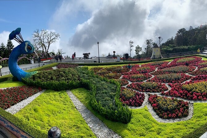 Ba Na Hills & Golden Bridge Tour from Da Nang - Leaving Da Nang between 7:30 and 8:30