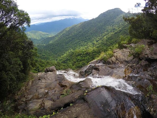 Bach Ma National Park trekking daily tour from Da Nang, Hoi An - Key points to know before you book