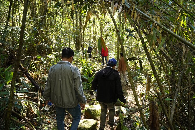 Bach Ma National Park trekking daily tour from Da Nang, Hoi An - Five Lakes is the day’s real adventure