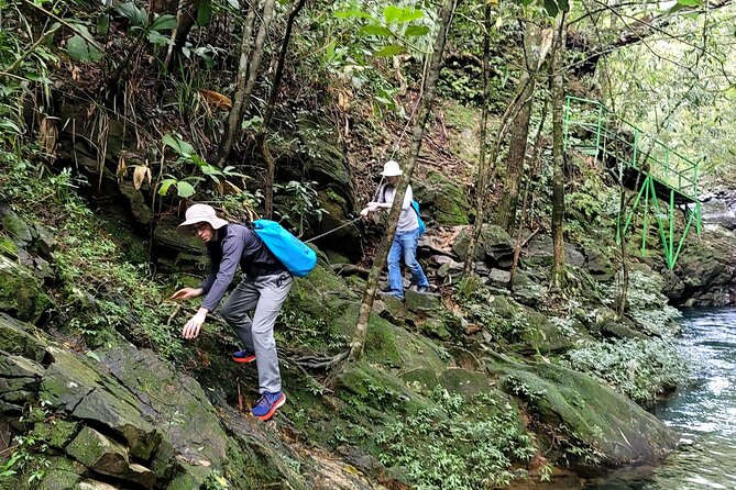 Bach Ma National Park trekking daily tour from Da Nang, Hoi An - Do Quyen Waterfall and the final descent