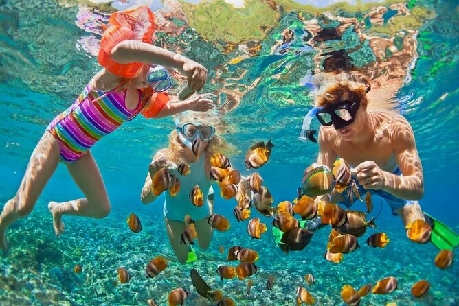 Cham Island Daily-Snorkeling(Optional:Pick up at Cua Dai Port) - Key points to know before booking