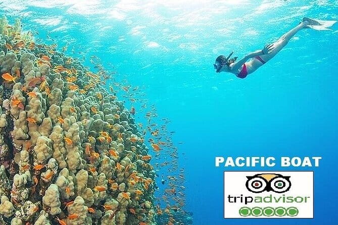 Cham island snorkeling tour - What this Da Nang day actually includes