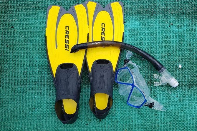 Cham Islands Snorkeling Tour by SpeedBoat from Da Nang - Why Cu Lao Cham makes a good break from Da Nang