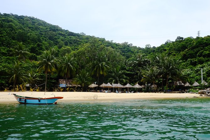 Cham Islands Snorkeling Tour by SpeedBoat from Da Nang - Who should choose this island outing?