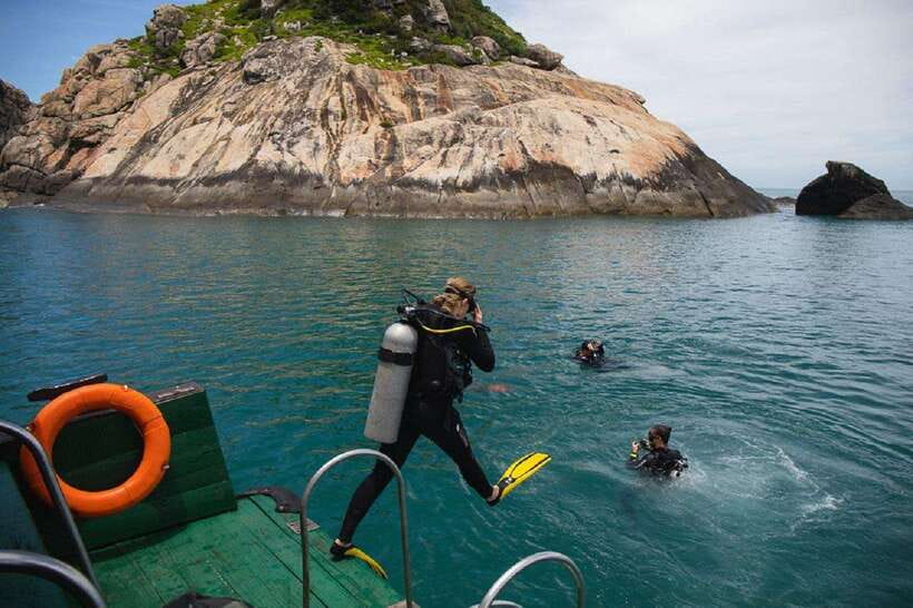 Cham Islands Snorkeling Tour by Speedboat : Hoi An/Da Nang - Snorkeling near Cham Island