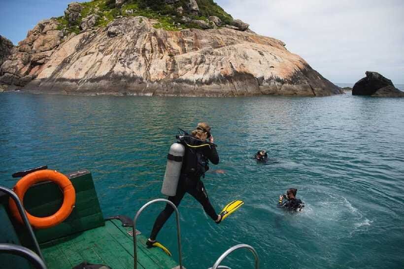 Cham Islands Snorkeling Tour by Speedboat : Hoi An/Da Nang - Lunch at Bai Ong or Bai Chong