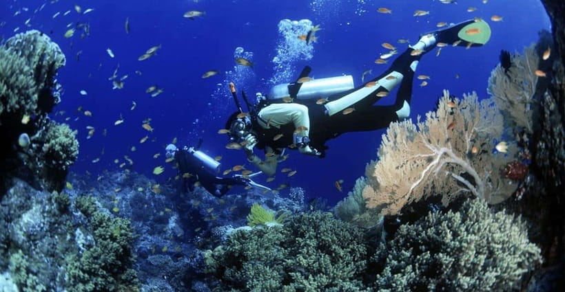 Cham Islands Snorkeling Tour by Speedboat : Hoi An/Da Nang - Arriving at Lang Beach and seeing island life
