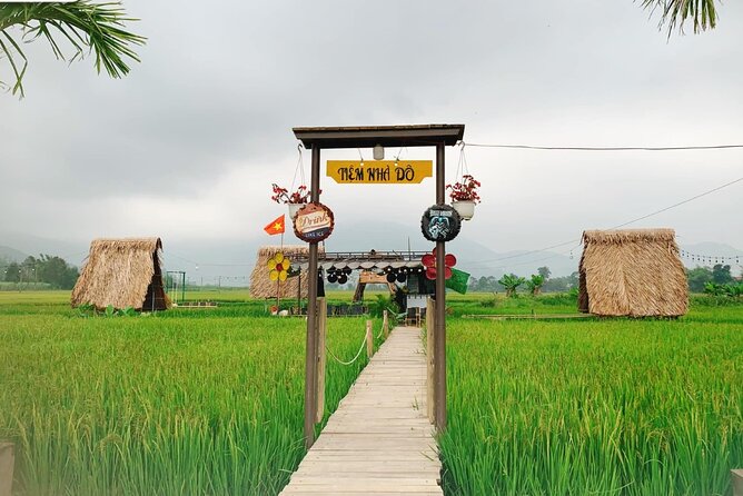 Cooking Cycling and Pure Water Experience in Danang Rural Village - Cycling past sugarcane, mulberry, and lotus plots