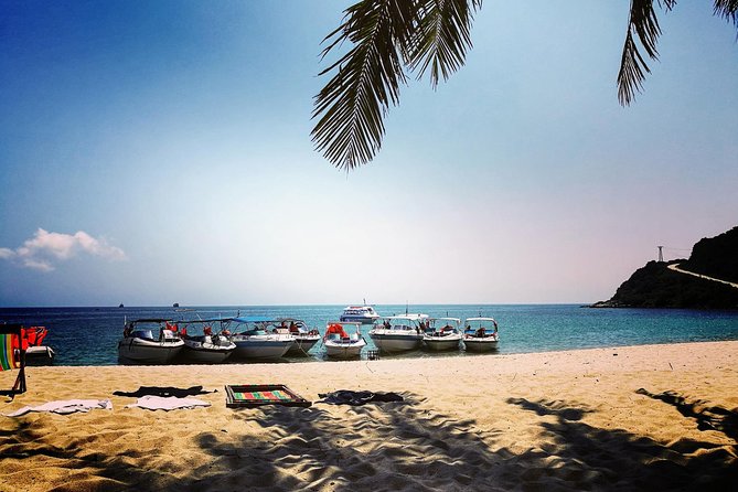 Cu Lao Cham Island Tour from Da Nang/ Hoi An - Why Cu Lao Cham makes a good day away