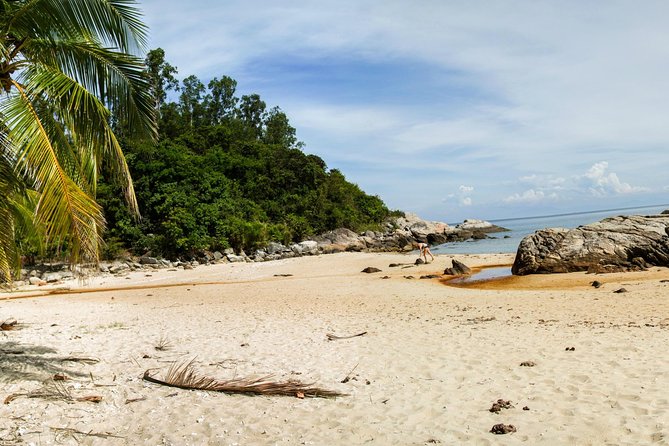 Cu Lao Cham Island Tour from Da Nang/ Hoi An - The return boat and hotel drop-off