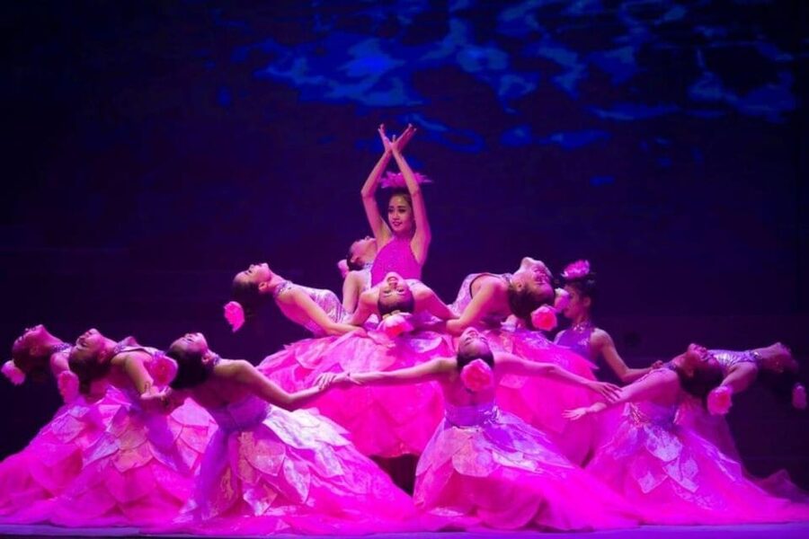Da Nang: Charming Da Nang Show Ticket - Key points to know before booking