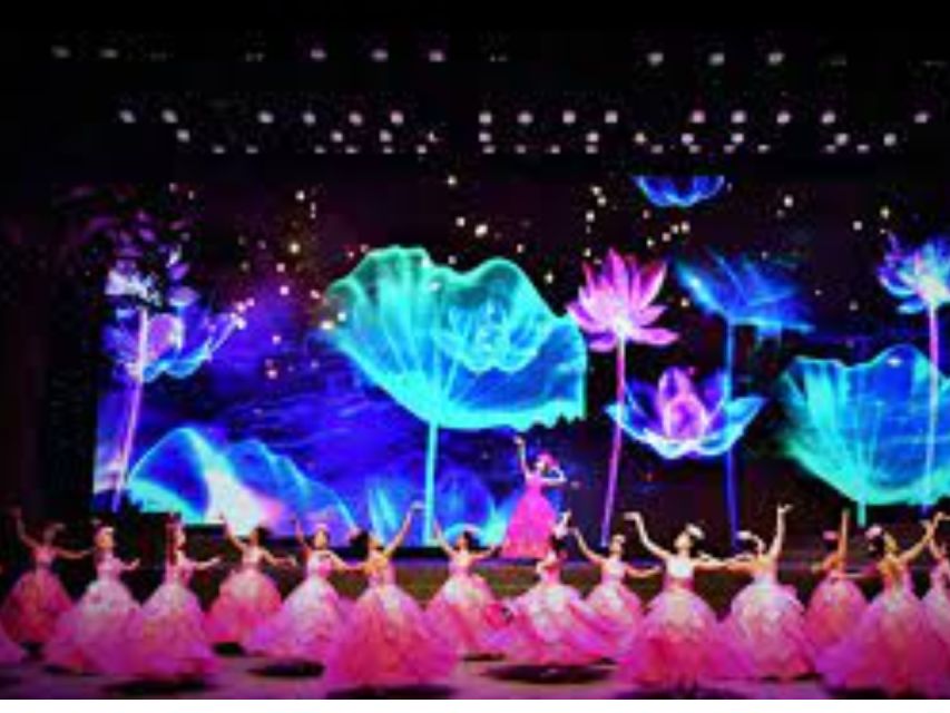 Da Nang Charming Show Viet Nam - What the Charming Danang Show is really offering