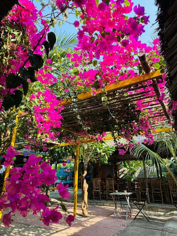 Da Nang: Marble Mountains, Hoi An, and Coconut Forest Tour - Why this Da Nang day trip works