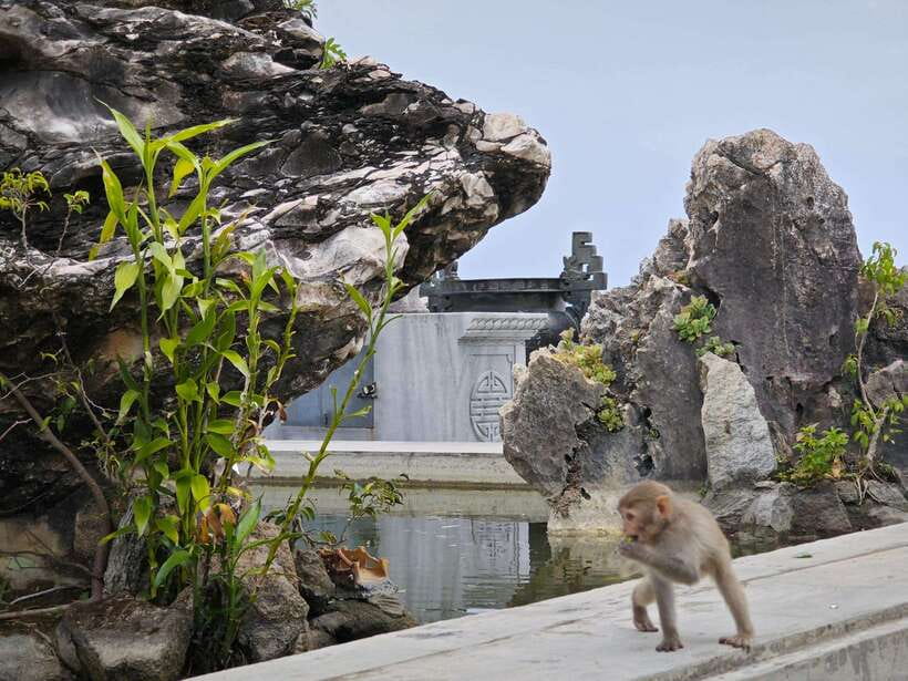 Da Nang : Private Car to Hue with Multi Sightseeing Stops - Optional stop: Marble Mountains