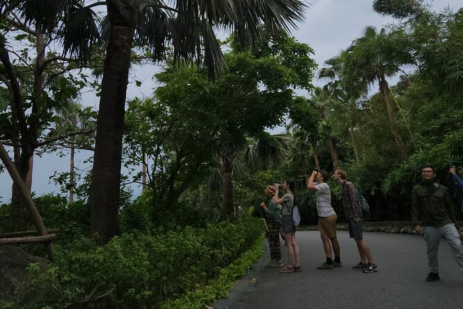 Endangered Monkeys Watching - Red Shanked Douc Langurs - Forest life beyond the langurs