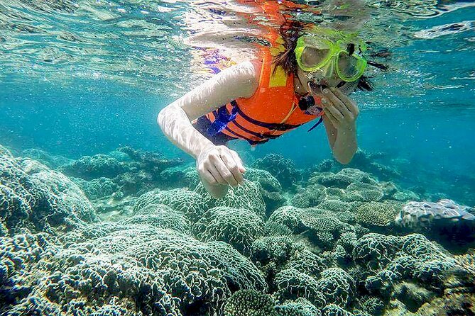 From Da Nang/ Hoi An: Cham Island Day Tour with snorkeling fun - Snorkeling in Cu Lao Cham Marine Park