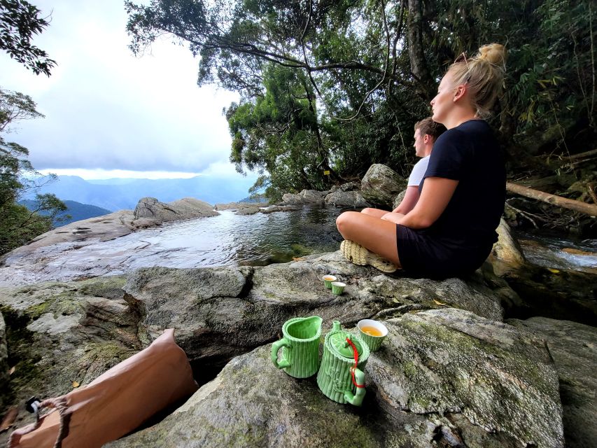 From Da Nang or Hoi An: Bach Ma National Park Trek & Lunch - Should you book the Bach Ma trek?