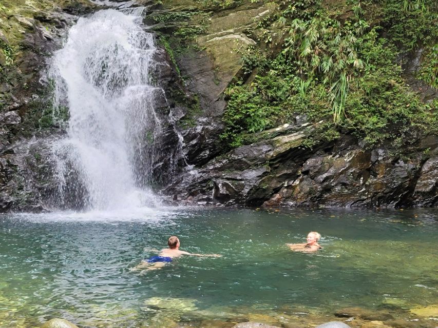 From Da Nang or Hoi An: Bach Ma National Park Trek & Lunch - Hai Vong Dai and the best views of the day