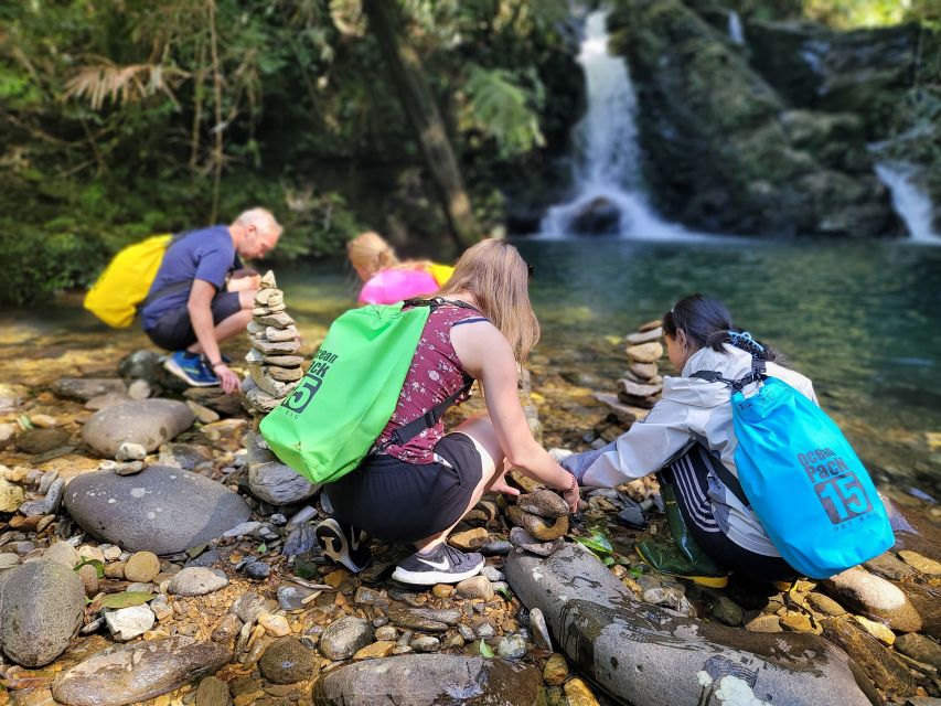 From Da Nang or Hoi An: Bach Ma National Park Trek & Lunch - The early pickup from Hoi An or Da Nang