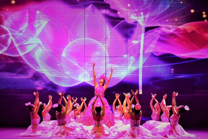 From Danang : 2026 Charming Da Nang Show Ticket with Hotel Pickup - Who will enjoy this show most