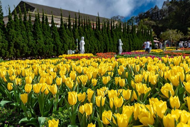 Full day Ba Na Hill with Cable Car and Lunch from Da Nang - Fantasy Park: a useful extra for families