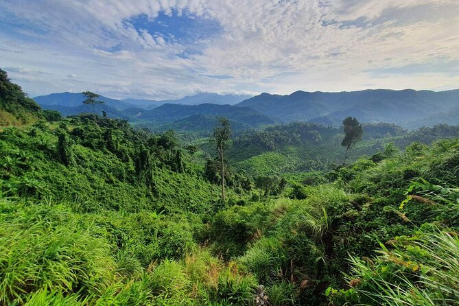 Hai Van pass private car tour from Hue-Da Nang-Hoi An (1Way|Loop) - What $199 means for a group of three
