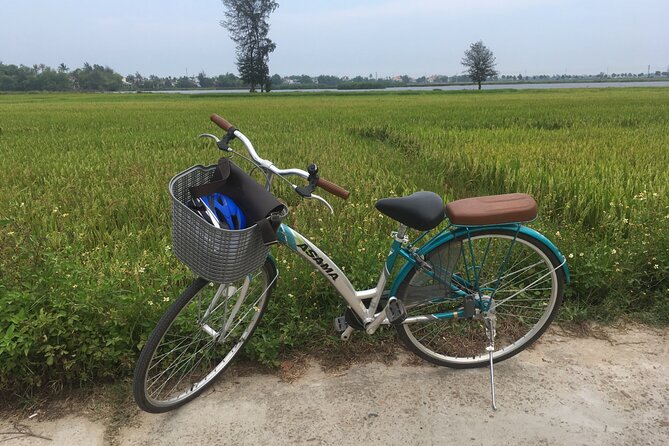 Hoi An countryside biking tour, water buffalo+ basket boat ride - Is $31.35 a fair price?