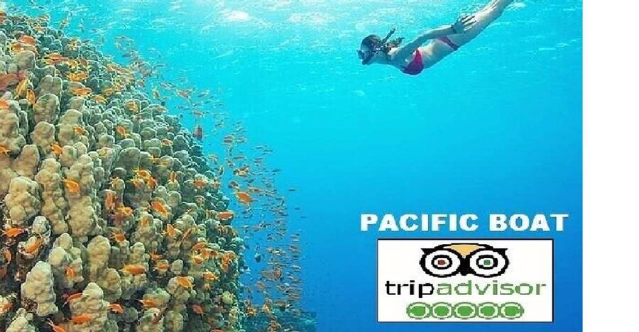 Hoi An/Da Nang: Snorkelling & Island-Hopping Speedboat Tour - Key points to know before you book