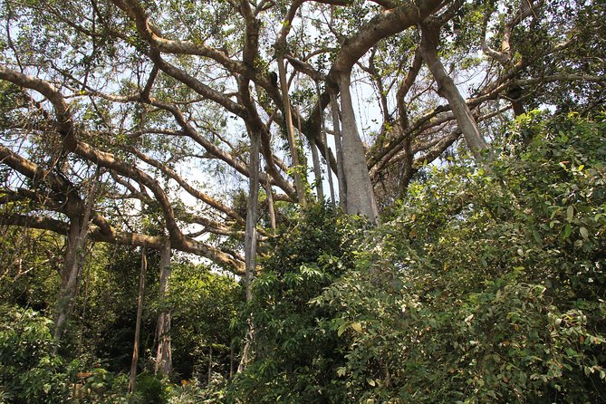 Jeep Tour Monkey Mountain & Son Tra Peninsula 3Hr - Visiting Lady Buddha at Linh Ung Pagoda