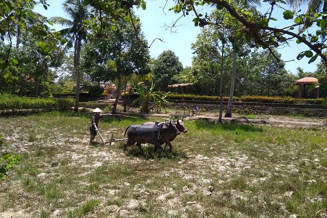 MY LAI MASSACRE Tour from Hotel in Da Nang City or Hoi An City ( Private Tour ) - Is $108 per person good value?