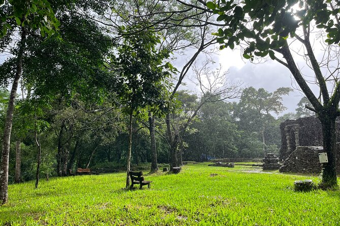 My Son Sanctuary Guided Tour with Rice Paper Making from Da Nang - Is $27 a good value?