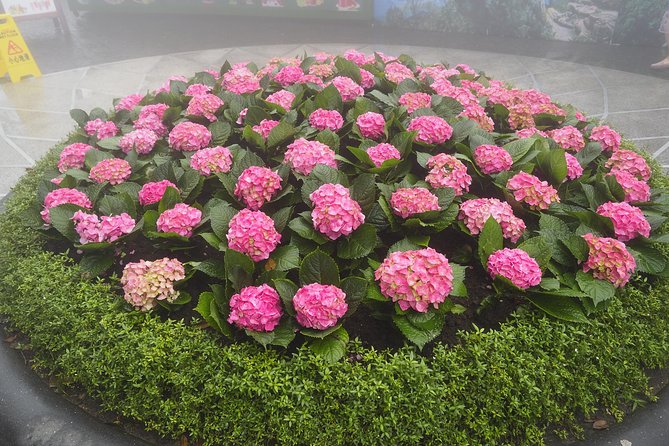 Private car and cable car ticket to the Ba Na hills and Golden Bridge - Flower gardens, wine cellar, and Linh Ung Pagoda