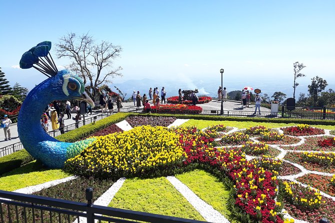 Private Marble Mountains-Hands Bridge-Bana Hills HoiAn/DaNang - The cable car is part of the Ba Na Hills experience