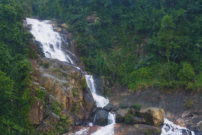 Round trip Transfer from Danang to Ba Na hills for Golden Bridge - Price, admission, and real value