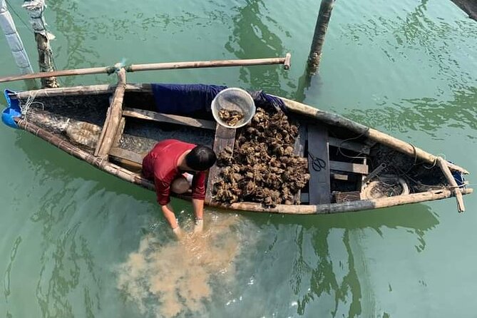 Vietnam/Lang Co Oyster Tour by Fishing & Tasting Oyster Flavors - Key points at a glance