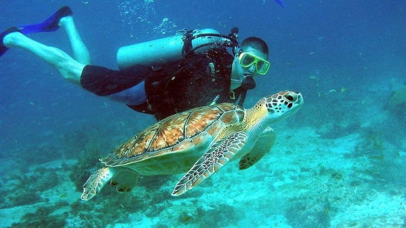 Visit Cham Islands & Snorkelling & Scuba Diving - Who should book this Cham Island trip