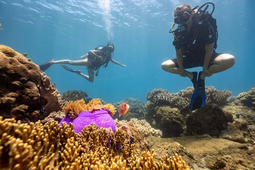 Visit Cham Islands & Snorkelling & Scuba Diving - Final call: good island value with one important warning