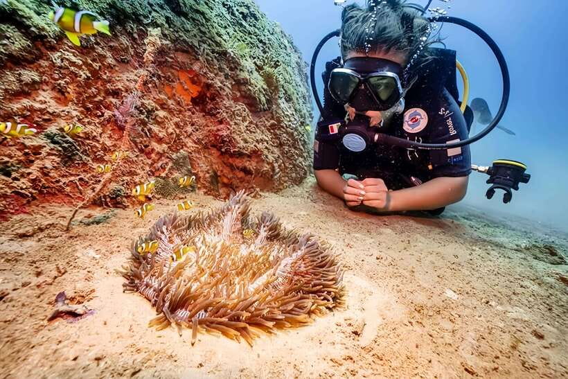 Visit Cham Islands & Snorkelling & Scuba Diving - Lang Island and the Marine Sanctuary